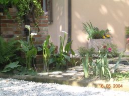 2004-terento_25-05