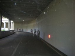 DSCN7380