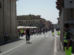 DSCF6029