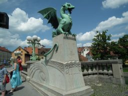 DSCF6239